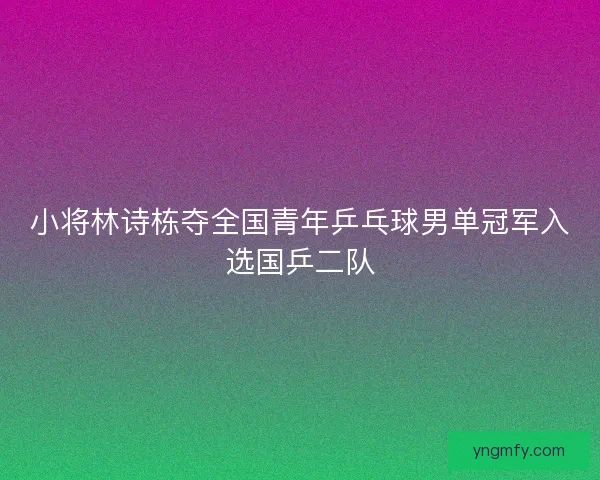 小将林诗栋夺全国青年乒乓球男单冠军入选国乒二队