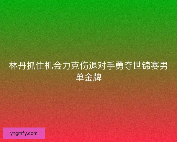 林丹抓住机会力克伤退对手勇夺世锦赛男单金牌