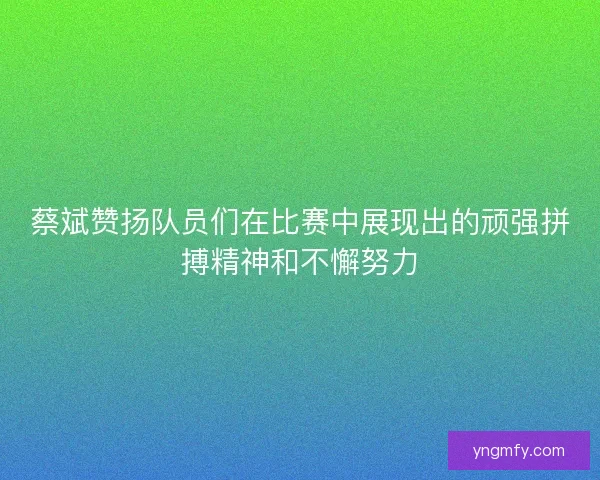 蔡斌赞扬队员们在比赛中展现出的顽强拼搏精神和不懈努力