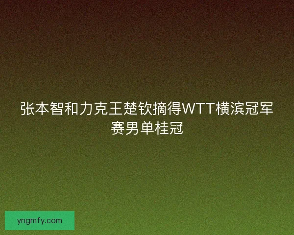 张本智和力克王楚钦摘得WTT横滨冠军赛男单桂冠